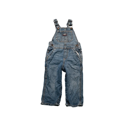 OshKosh Kids  Dungarees Multi Age 24M