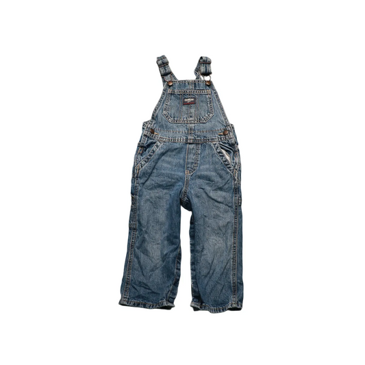 OshKosh Kids  Dungarees Multi Age 24M