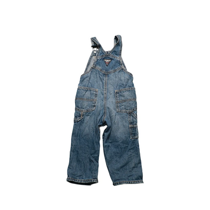 OshKosh Kids  Dungarees Multi Age 24M