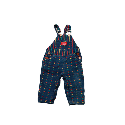OshKosh Kids  Dungarees Multi Age 12M