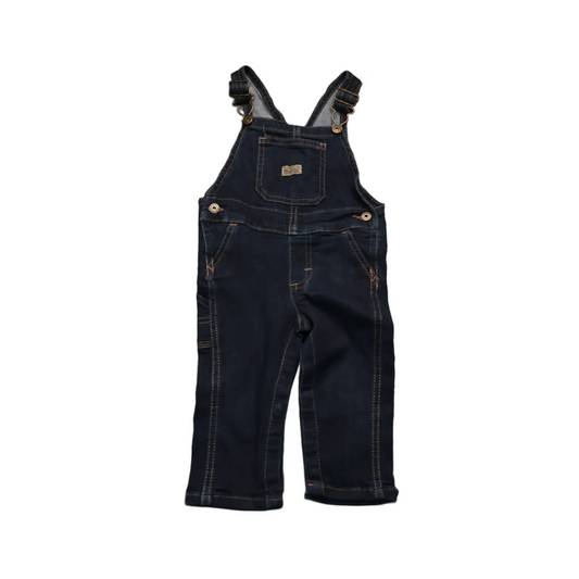 Wrangler Kids Denim Dungarees Blue Age 12M