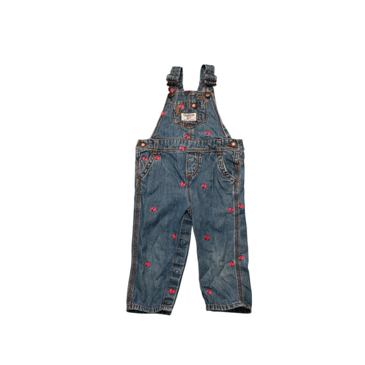 OshKosh Kids Chick Embroided Pattern Dungarees Blue Age 12M