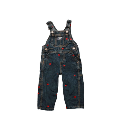 OshKosh Kids  Dungaree Blue Age 12M